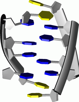 Image NMR Structure - manually