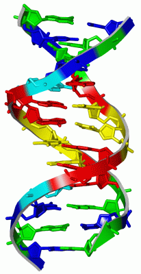 Image Asym./Biol. Unit - manually