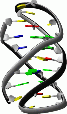 Image NMR Structure - manually