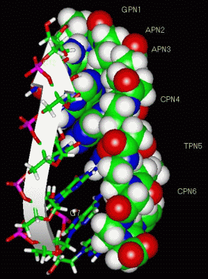 Image NMR Structure - manually