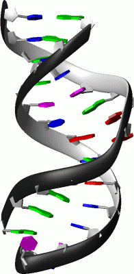 Image NMR Structure - manually