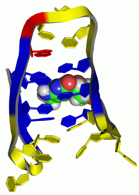 Image NMR Structure - manually