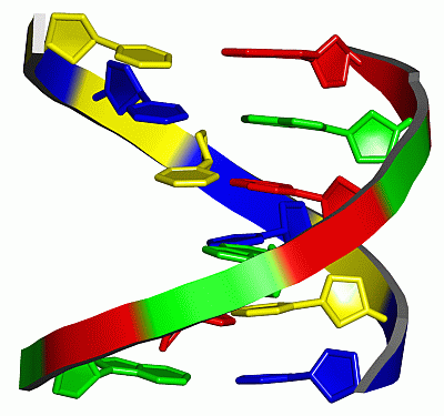 Image NMR Structure - manually