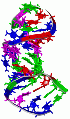 Image NMR Structure - manually