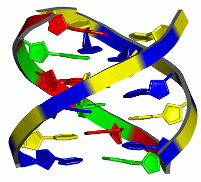 Image NMR Structure - manually