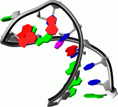 Image NMR Structure - manually