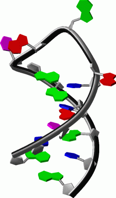 Image NMR Structure - manually