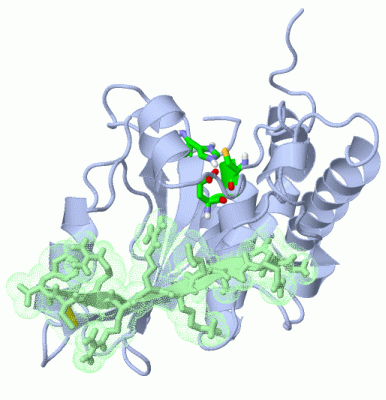 Image Asym./Biol. Unit - manually