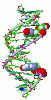 Image NMR Structure - manually