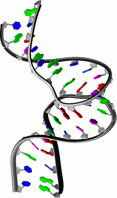 Image NMR Structure - manually