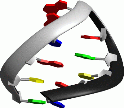 Image NMR Structure - manually