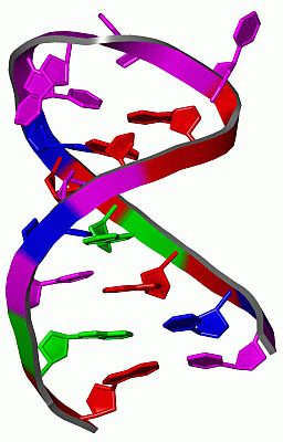 Image NMR Structure - manually