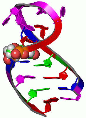 Image NMR Structure - manually