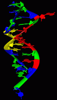 Image Asym./Biol. Unit - manually