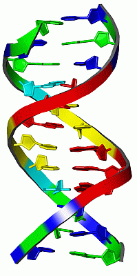 Image Asym./Biol. Unit - manually