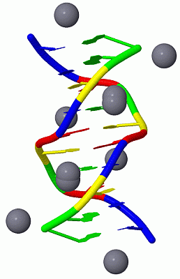 Image Biol.Unit 1 - manually