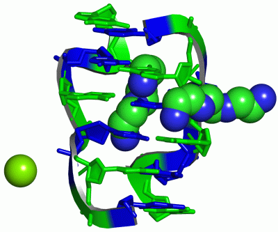 Image Asym./Biol. Unit - manually