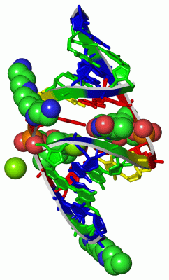 Image Asym./Biol. Unit - manually