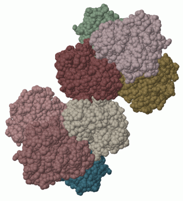 Image Biol.Unit 1 - manually