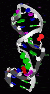 Image NMR Structure - manually