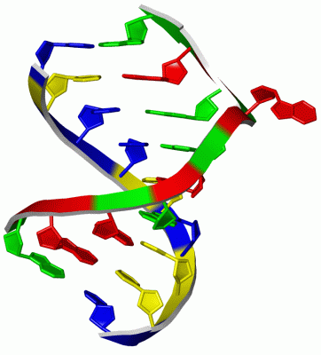 Image Asym./Biol. Unit - manually