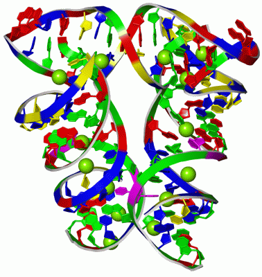 Image Asym./Biol. Unit - manually