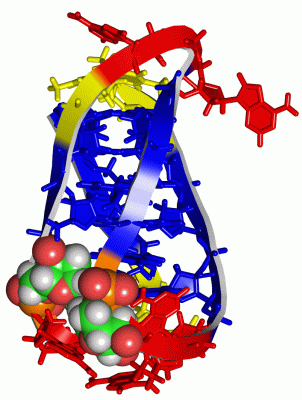 Image NMR Structure - manually