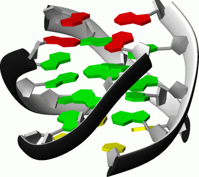 Image NMR Structure - manually