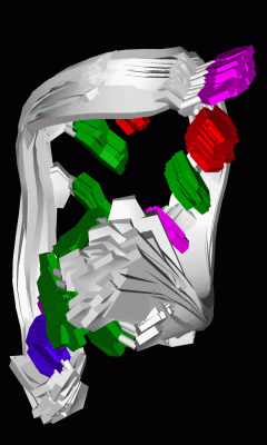 Image NMR Structure - manually