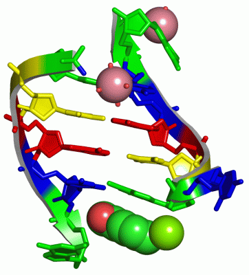 Image Asym./Biol. Unit - manually