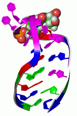 Image NMR Structure - manually