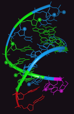 Image Asym./Biol. Unit - manually