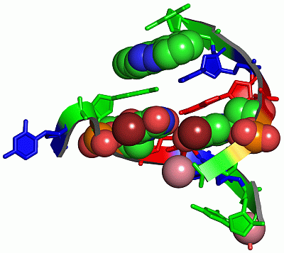 Image Asym./Biol. Unit - manually