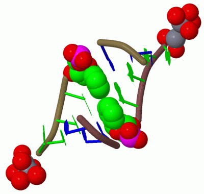 Image Biol.Unit 1 - manually