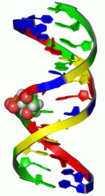 Image NMR Structure - manually