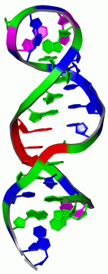 Image NMR Structure - manually