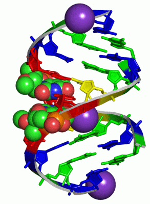 Image Asym./Biol. Unit - manually