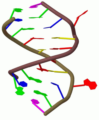 Image Biol.Unit 1 - manually