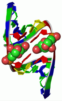 Image Asym./Biol. Unit - manually