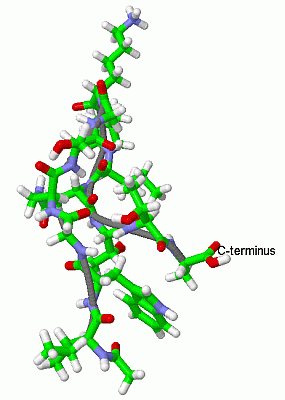 Image NMR Structure - manually