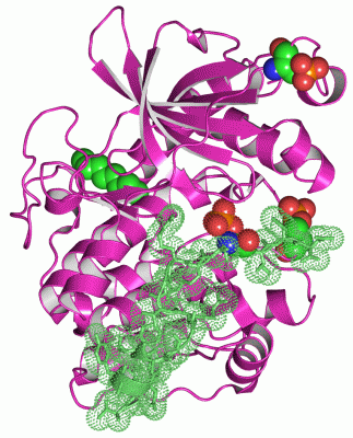 Image Asym./Biol. Unit - manually