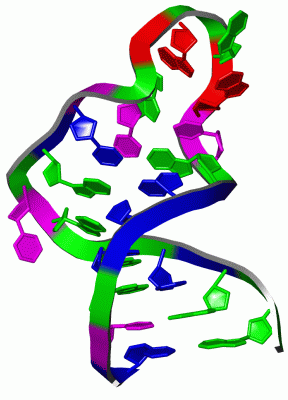 Image NMR Structure - manually