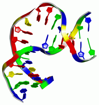 Image NMR Structure - manually