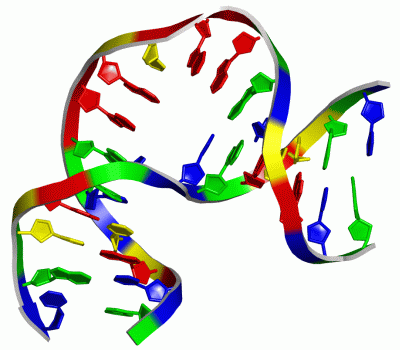 Image NMR Structure - manually