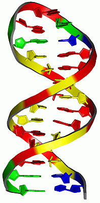 Image NMR Structure - manually