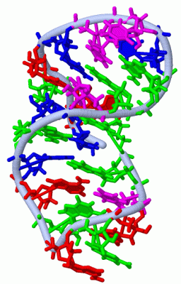 Image NMR Structure - manually