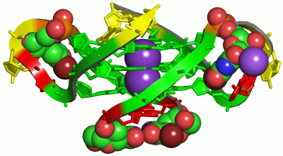 Image Asym./Biol. Unit - manually