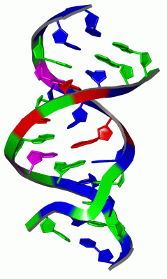 Image NMR Structure - manually