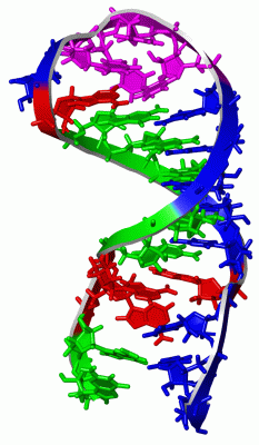 Image NMR Structure - manually