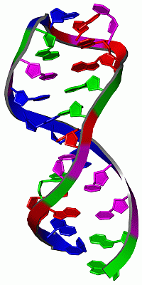 Image NMR Structure - manually